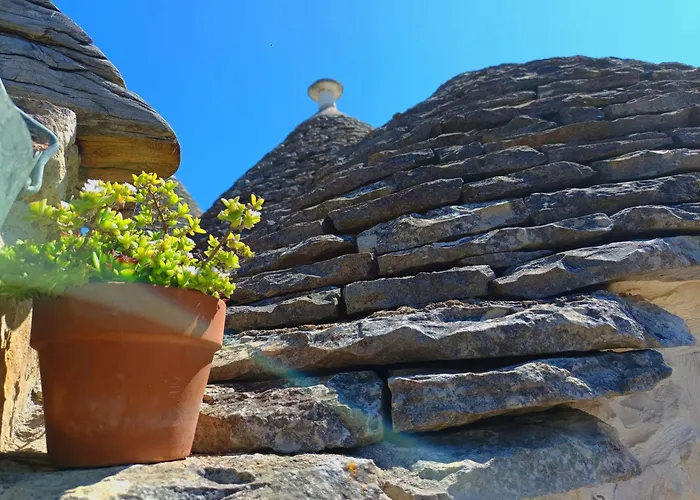 B&B La Rosa dei Trulli Alberobello
