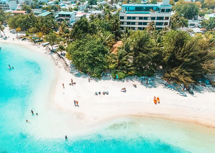 Season Paradise