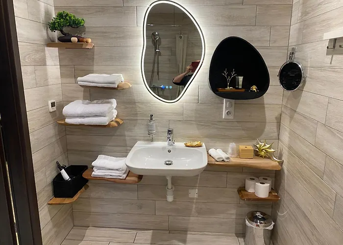 Le Moulin d'Oscar&Spa - Mulhouse Nord