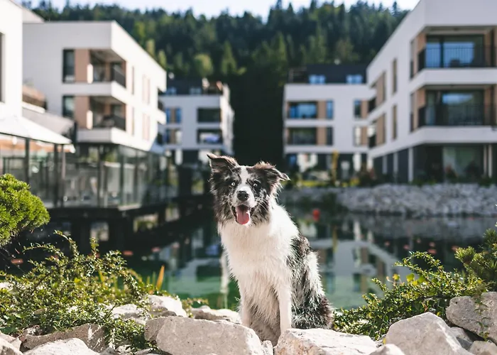 Vislow Resort