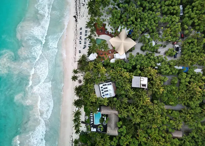 Olas Tulum