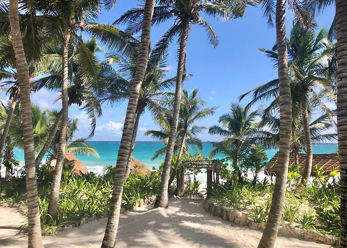 Olas Tulum