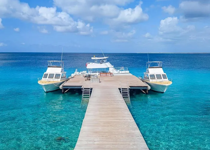 Divi Flamingo Beach Resort