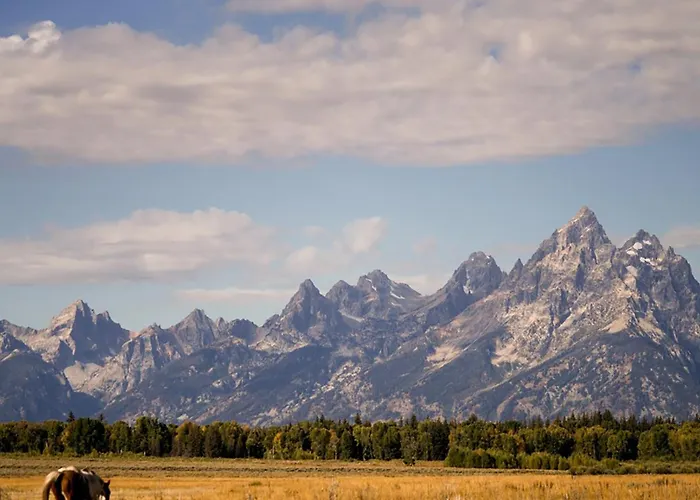 Hotel Trailborn Jackson Hole