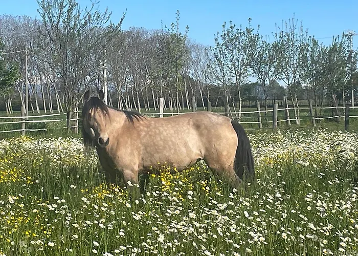 B&B Cm Ranch