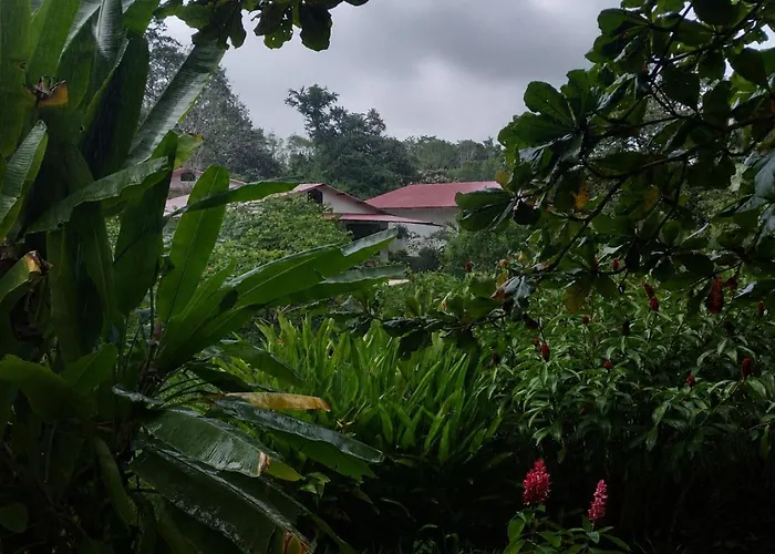 Susurros. Casa