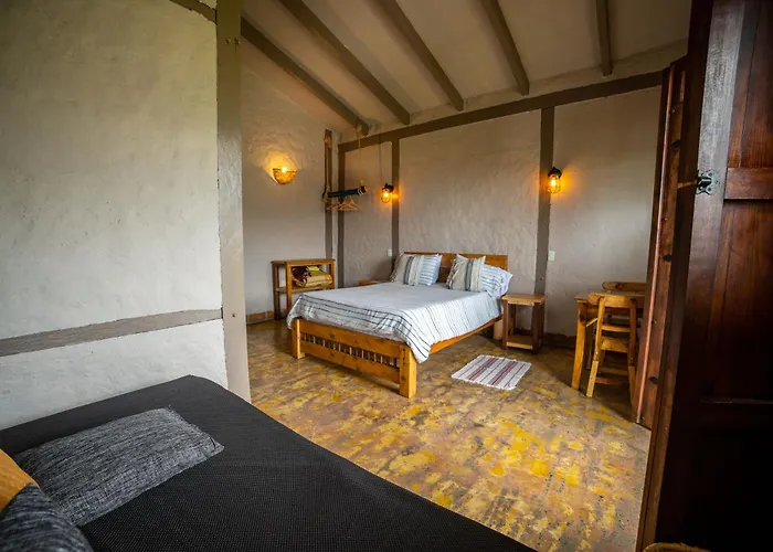 Coffee Tree Boutique Hostel