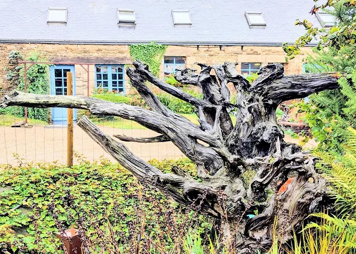 Domaine Le Puits De Jeanne