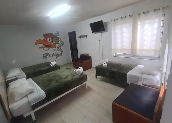 Alto Hostel