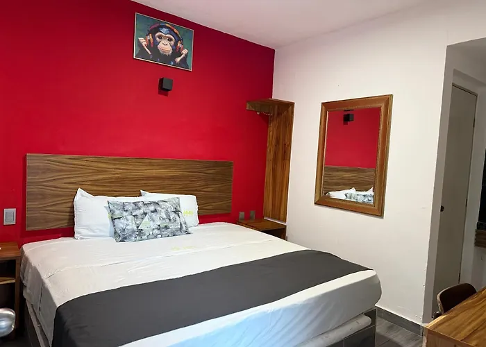 Hotel Jar8 Bule