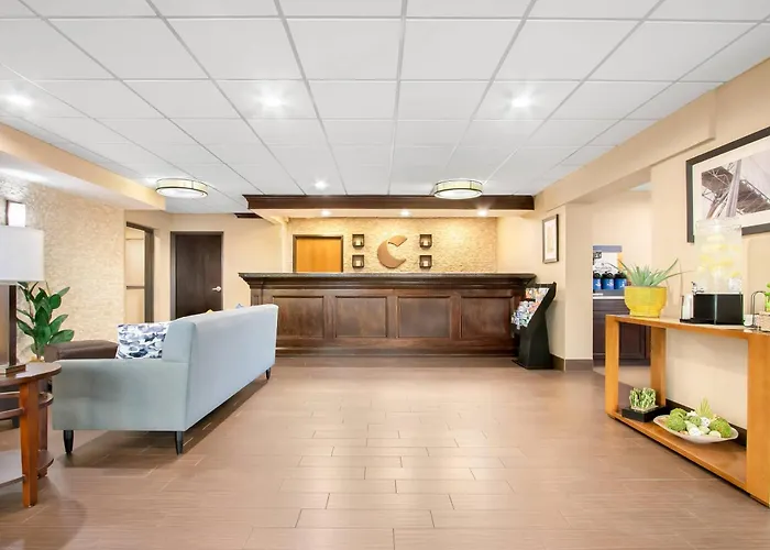 Comfort Inn Detroit Downtown