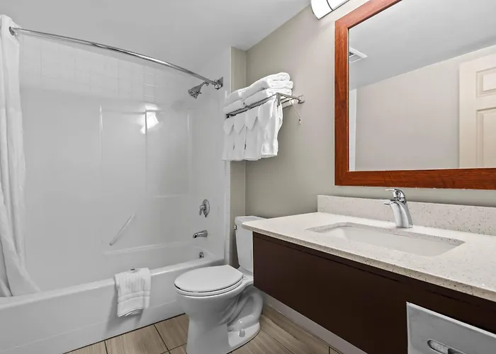Comfort Inn & Suites Airport South