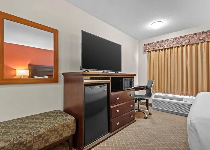 Comfort Inn & Suites Airport South