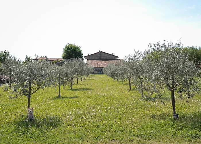 Bongiovanni