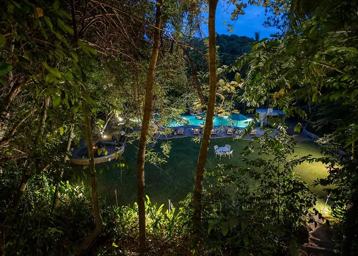 Jungle Village