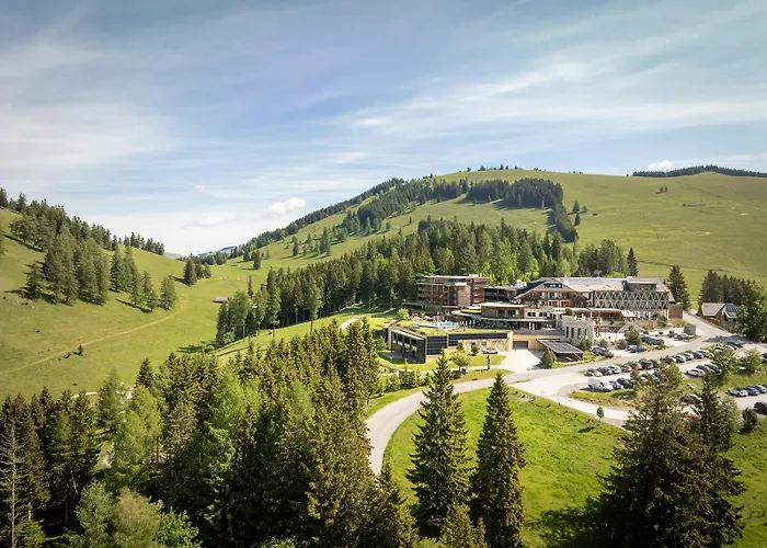 Almwellness Hotel Pierer