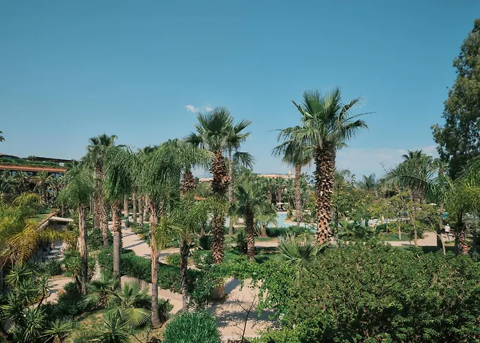 Acacia Resort