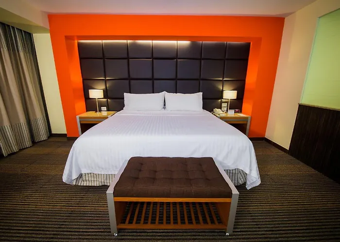 Inn -Plaza Universidad