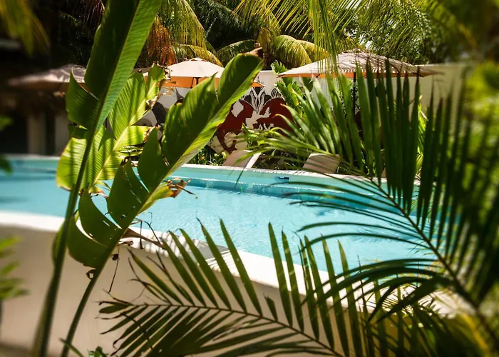 El Corazon Boutique - Adults Only With Beach Club Pass Included