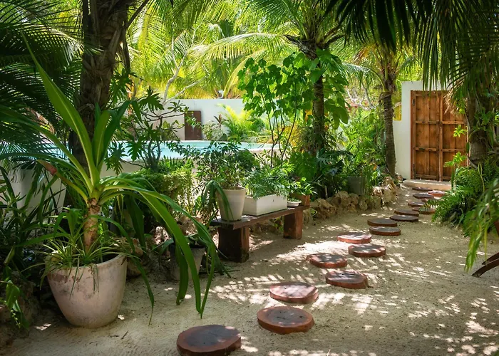 El Corazon Boutique - Adults Only With Beach Club Pass Included