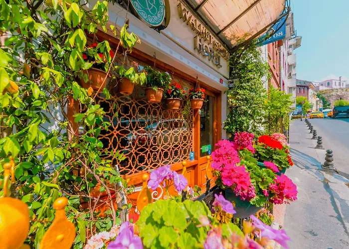 Walnut Shell Hotel