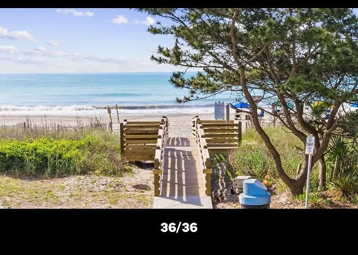 "Seas The Day" At St Clements