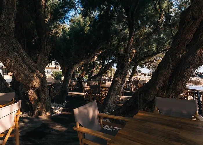 Aphrodite Beach Kíssamos