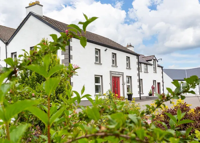 Willow House Bed & Breakfast And Orchard Studios Self Catering
