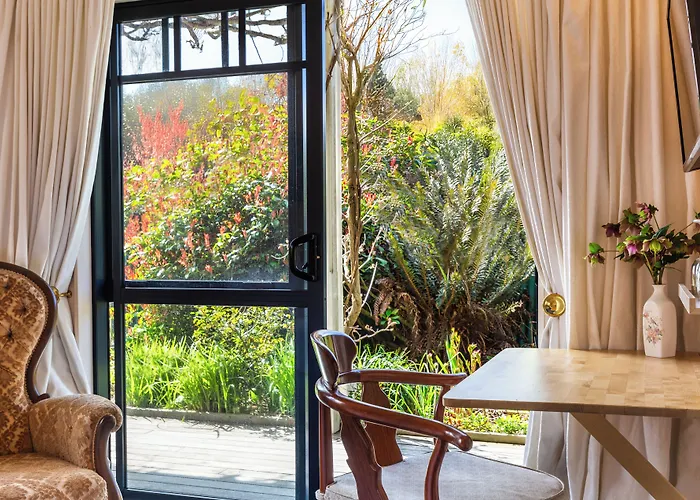 Olive Rabbit - Boutique Bed & Breakfast