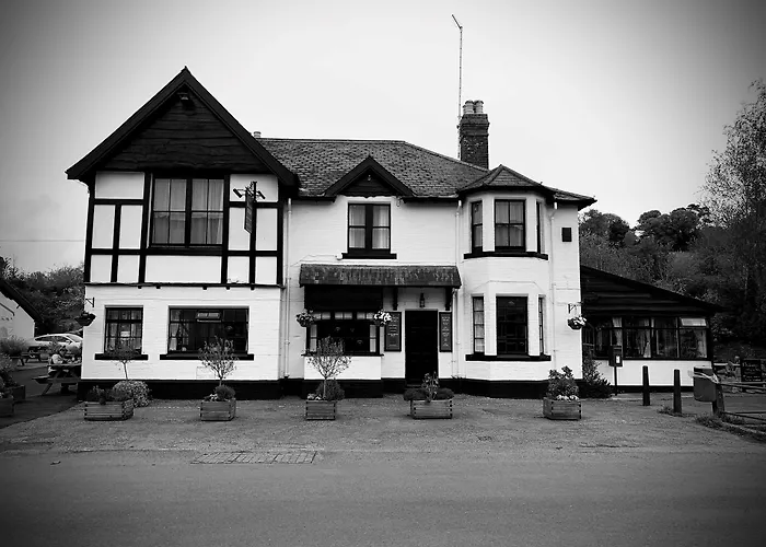 The Kings Arms Otterton