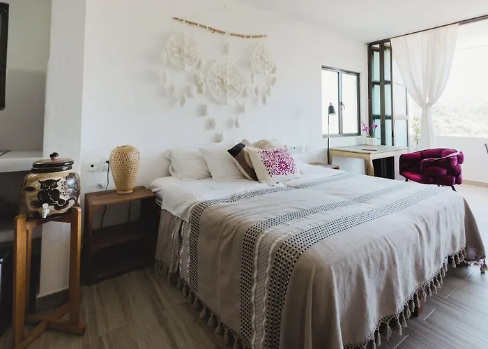 Casa Fenix