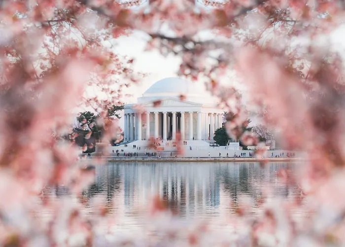 Darcy , Washington Dc