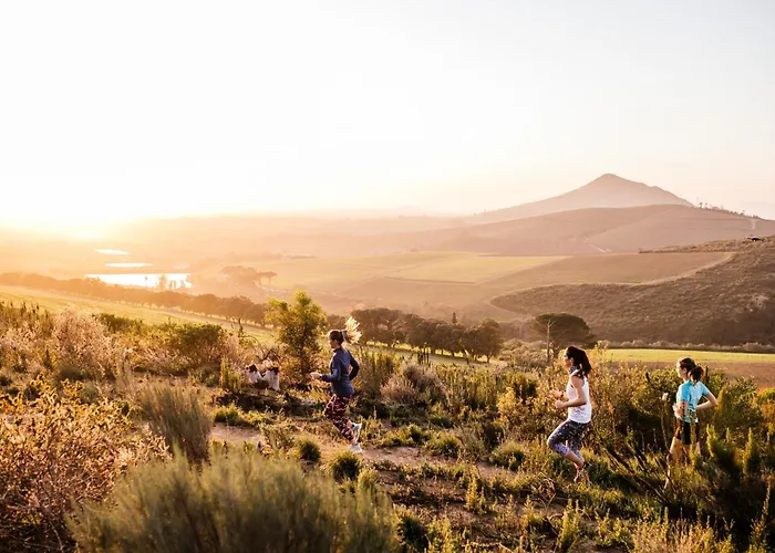 Muratie Wine Estate Stellenbosch