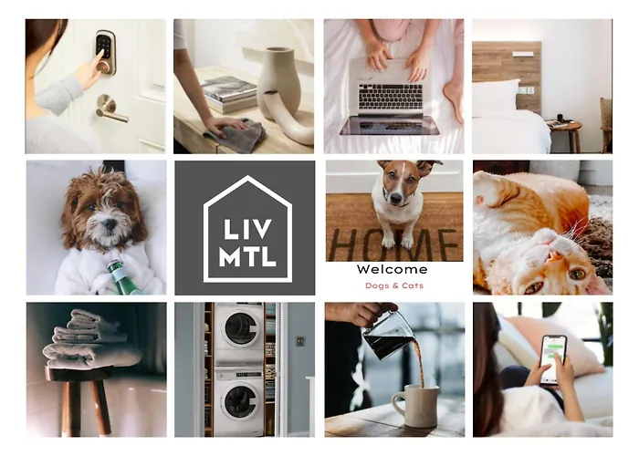 Liv Mtl Soho