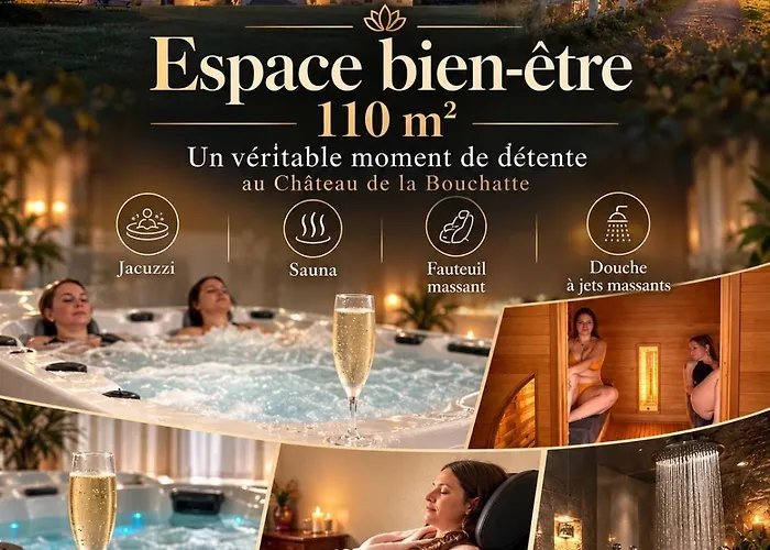 Château de la Bouchatte chambre les Roses Chazemais