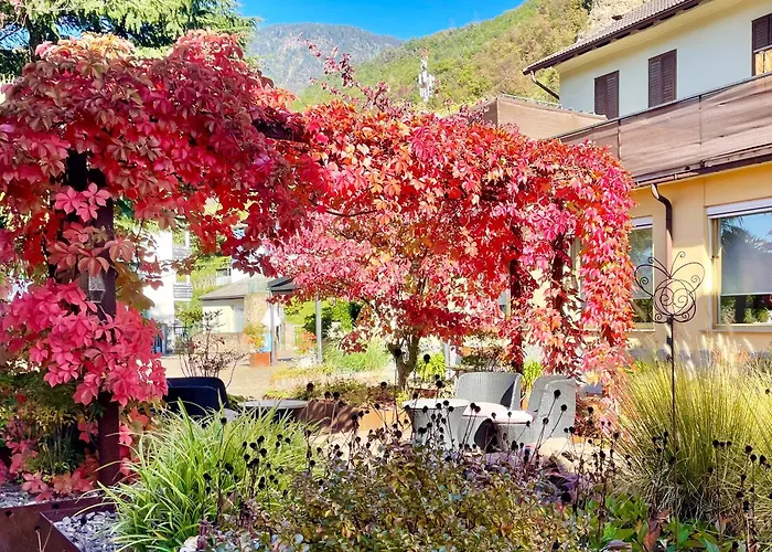 Hotel Garni Grüner Baum (Albero Verde)