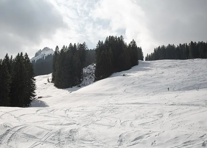 Berggasthof Grabs