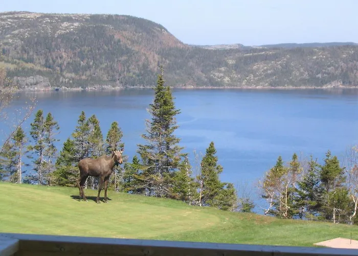 The View Lodgings