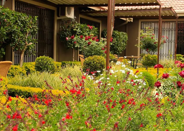 Avalon Guest Manor