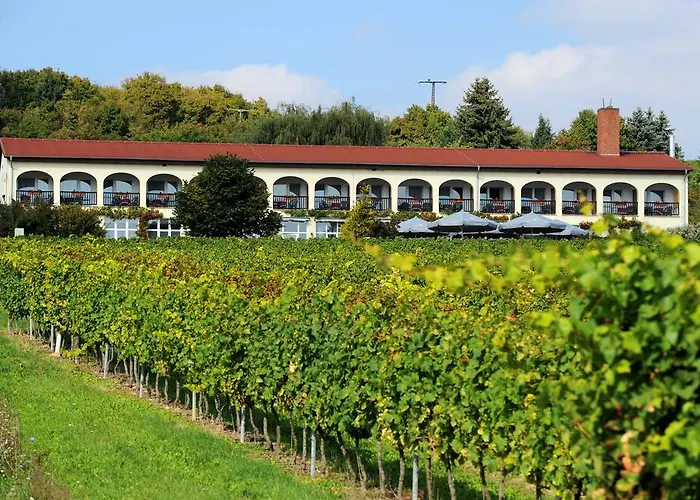 Hotel Rebschule