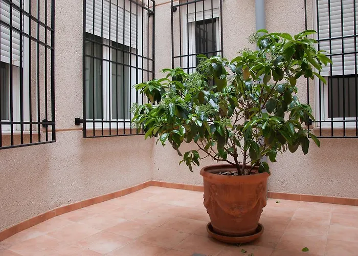 Hotel Hidalgo Quijada