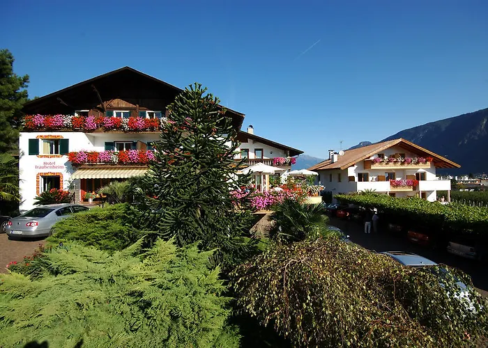 Hotel Traubenheim