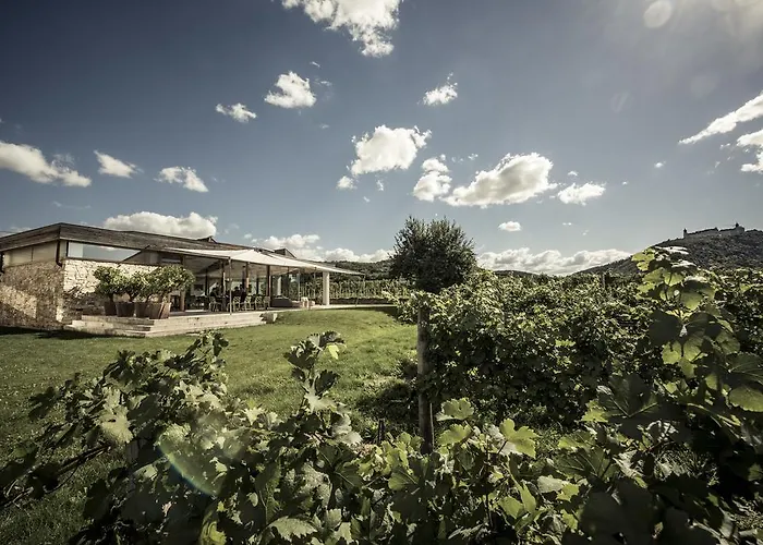 MALAT Weingut und Hotel Furth bei Gottweig