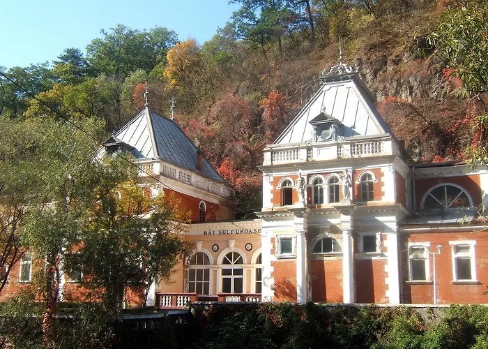 Vila Turistica Floare De Colt