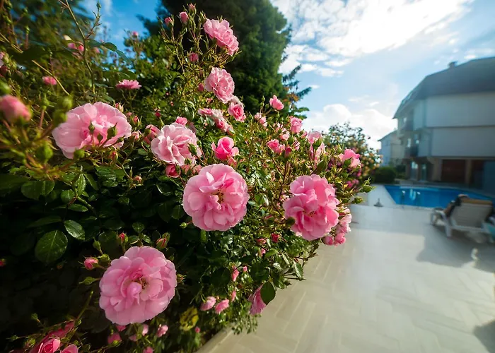 Villa Jordan Ohrid