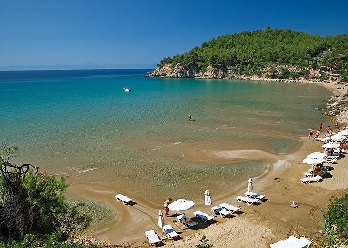 Alonissos Beach Bungalows And Suites Hotel