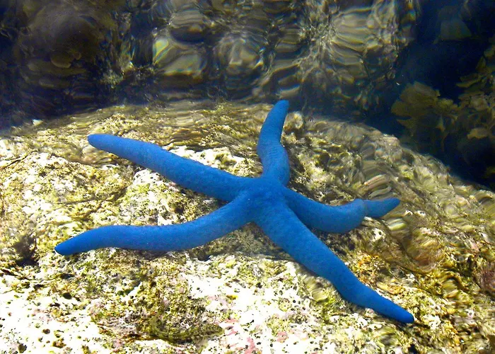 Kura Kura Resort Karimunjawa
