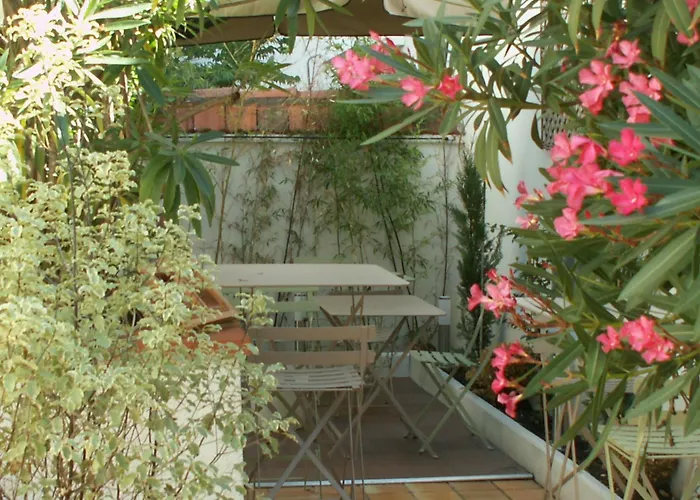 Hotel Alize