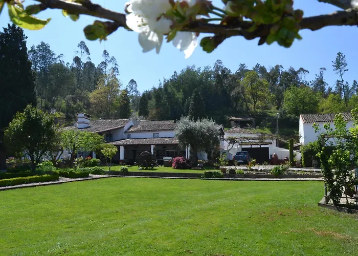 Quintal De Alem Do Ribeiro-Turismo Rural
