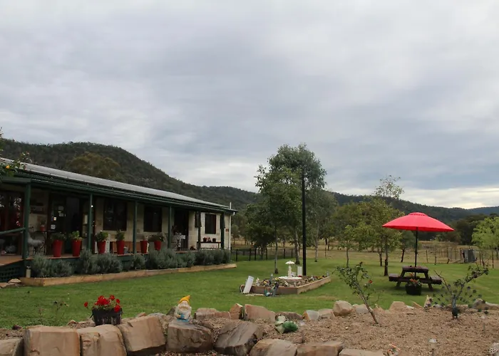 Starline Alpacas Farmstay Resort Broke